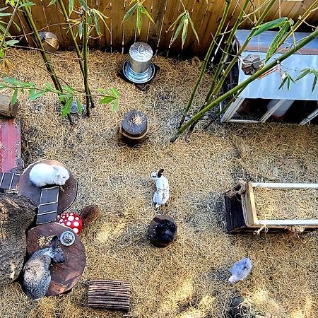 탬파 Cozy Af Tiny-House Oasis 빌라 외부 사진
