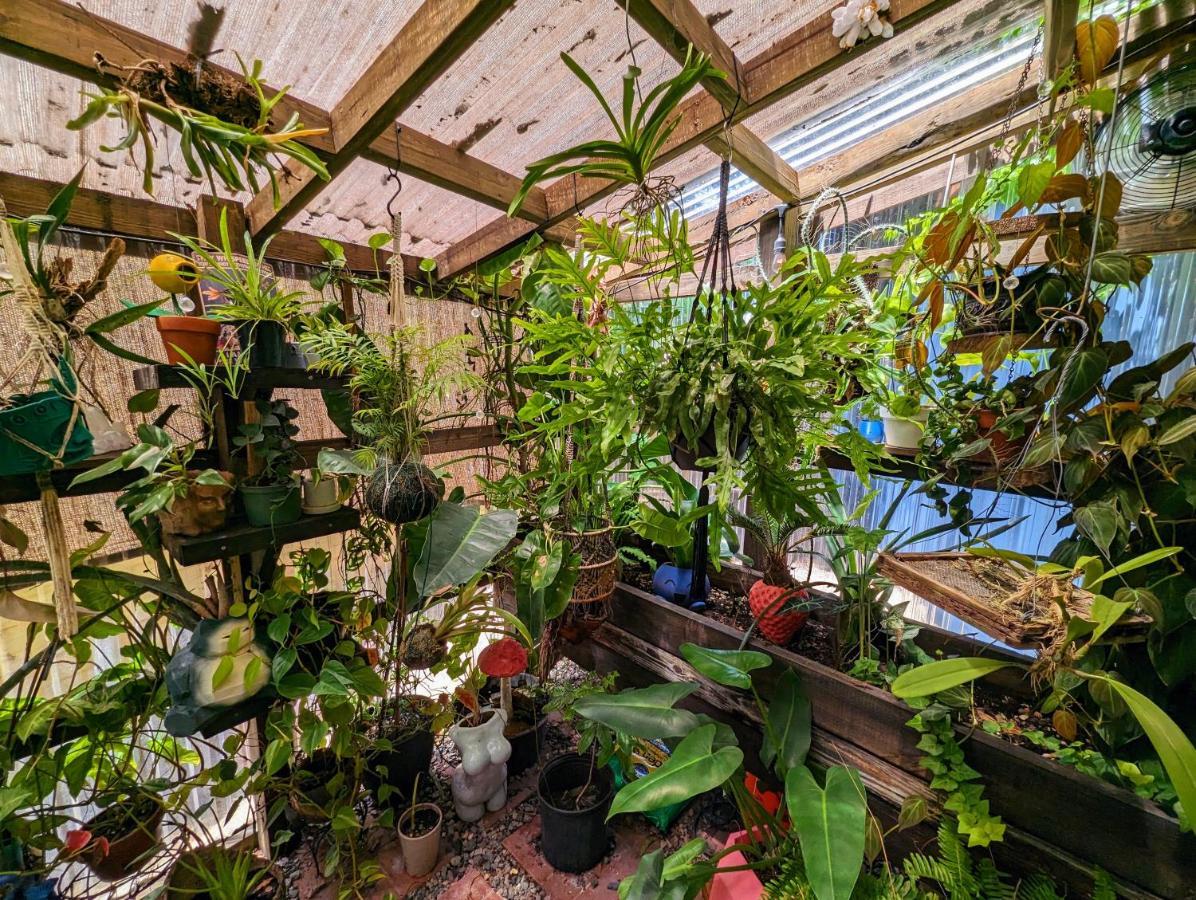 탬파 Cozy Af Tiny-House Oasis 빌라 외부 사진