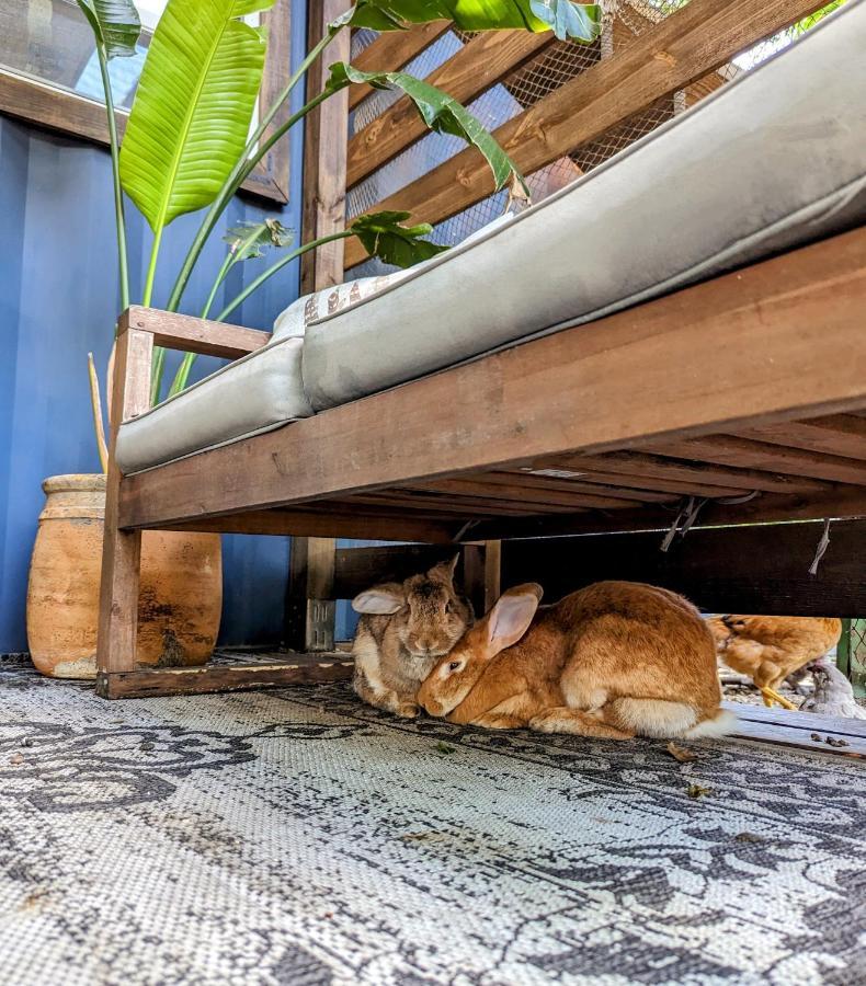 탬파 Cozy Af Tiny-House Oasis 빌라 외부 사진