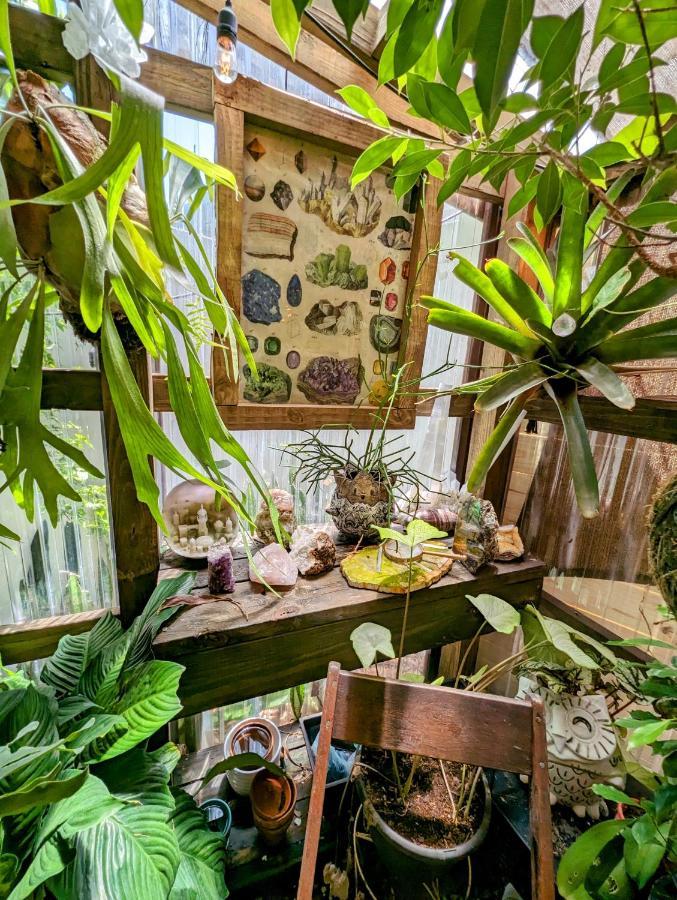 탬파 Cozy Af Tiny-House Oasis 빌라 외부 사진