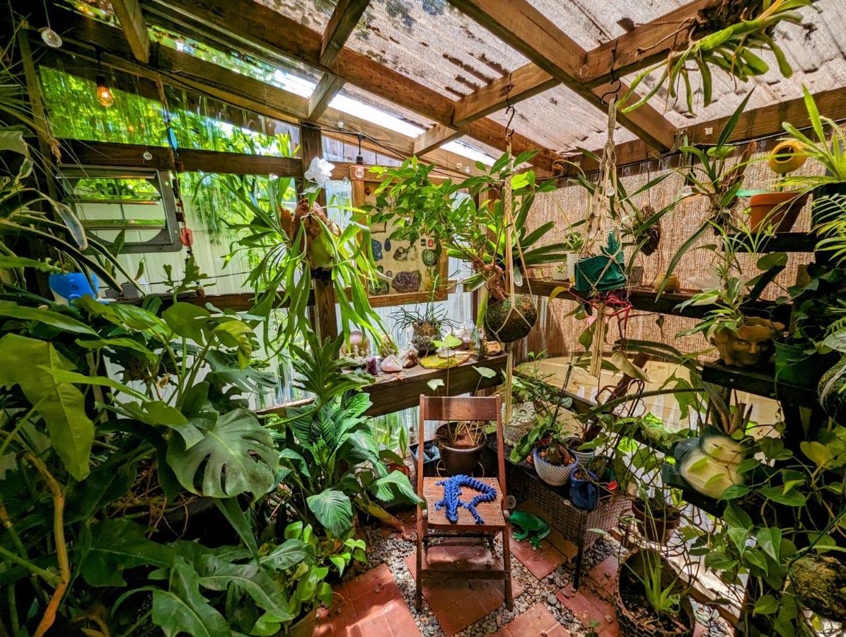 탬파 Cozy Af Tiny-House Oasis 빌라 외부 사진